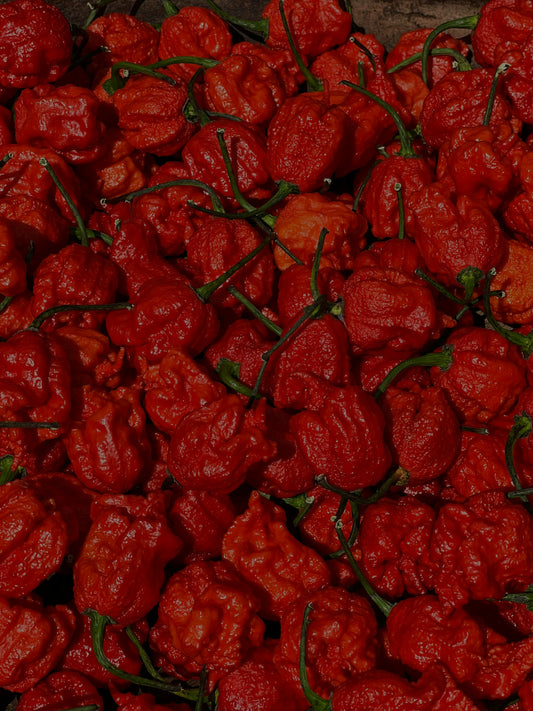 L’échelle de Scoville expliquée : quelle intensité pour quel piment ?