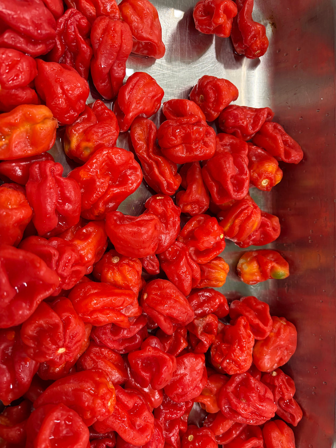 Fais ta propre sauce piquante maison !